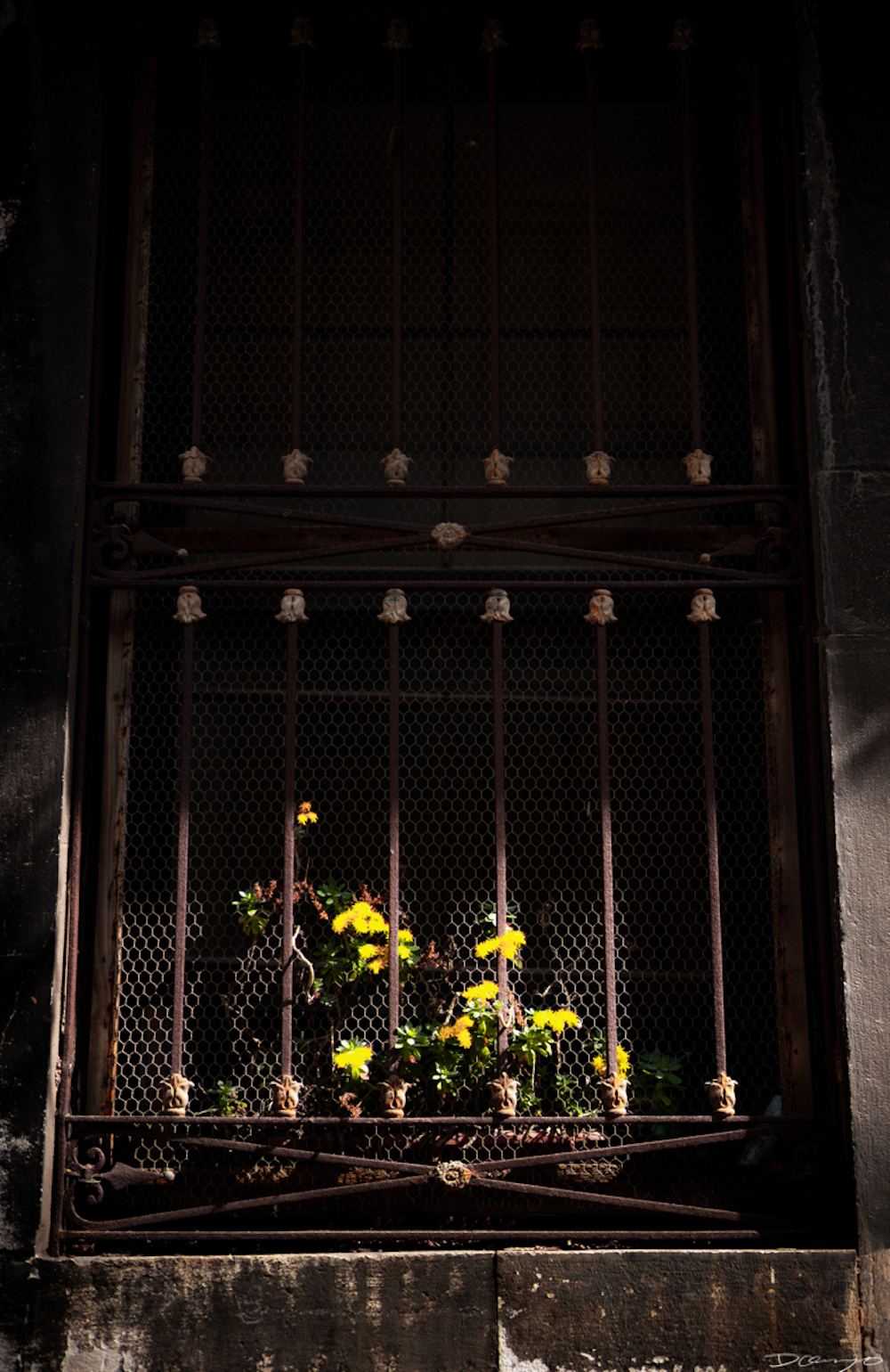 Photos from Venice, Florence, Tuscany, in Spring of 2022.